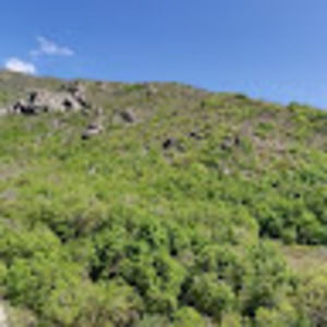 Meet your Posher, Darci